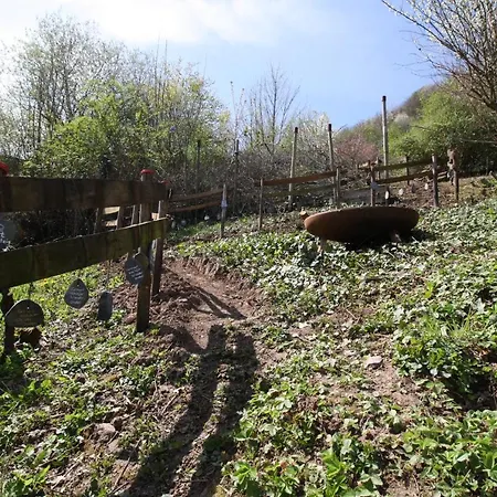 Komfort Fewo74-1 Apartment