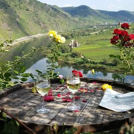 Komfort Fewo74-1 Apartment