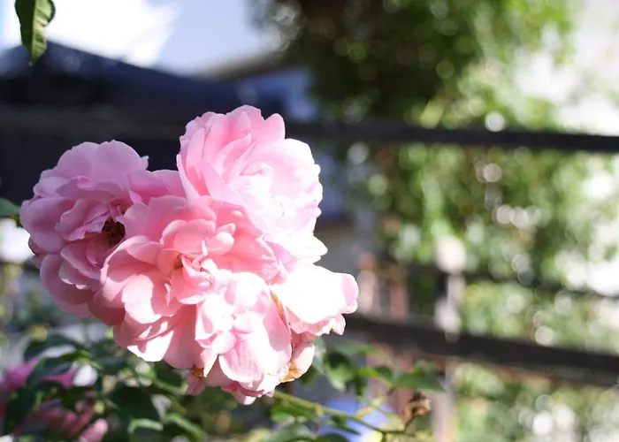 Apartamento Komfort Fewo74-1 *