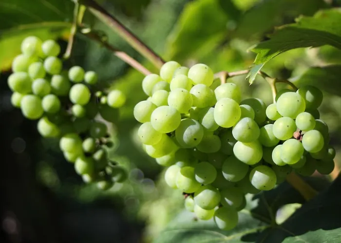 Apartamento Komfort Fewo74-1 Bremm