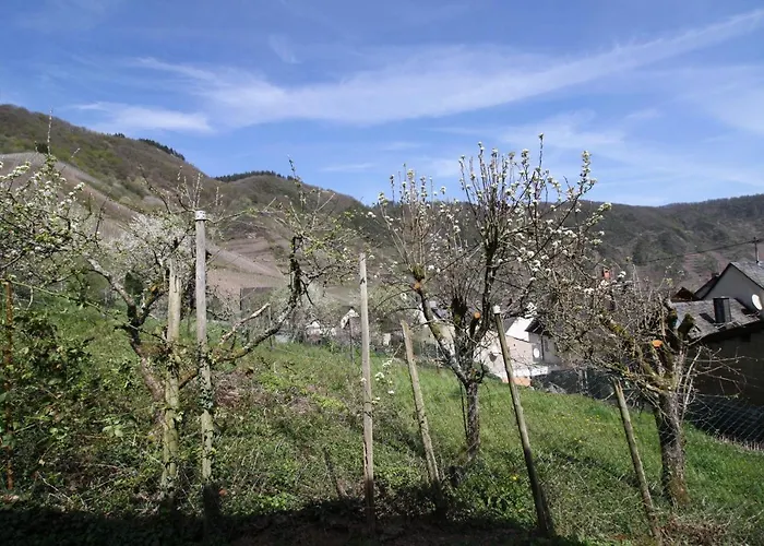 Komfort Fewo74-1 * Bremm