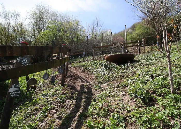 Komfort Fewo74-1 Apartamento