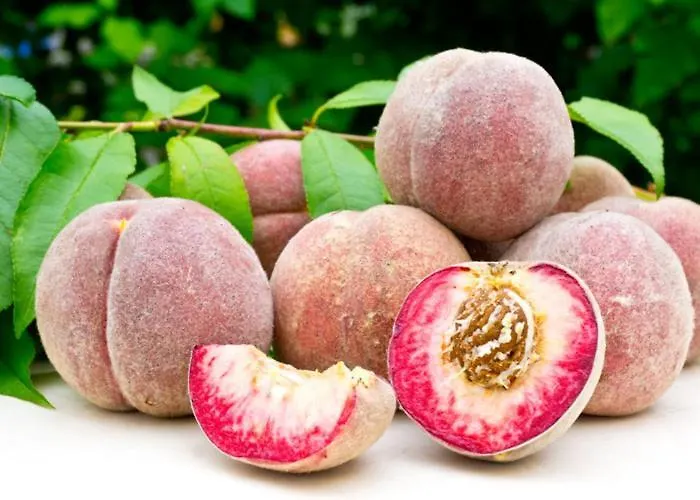 Komfort Fewo74-1 Apartamento